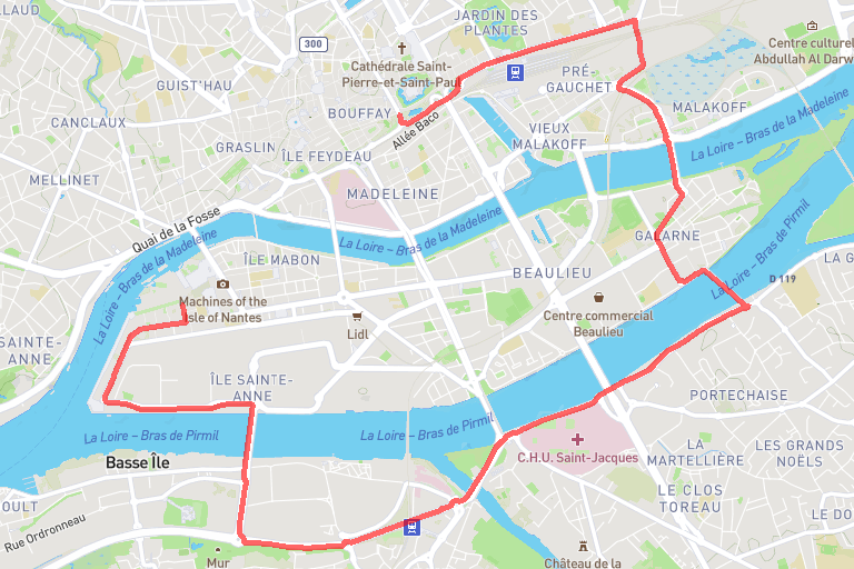 811e36ae-f213-4547-b9d8-0e5e3e774df7 image