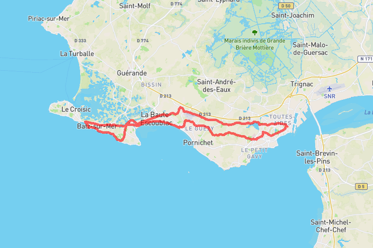 167dcbce-340e-46d5-a93c-5735b0ed3c0e image