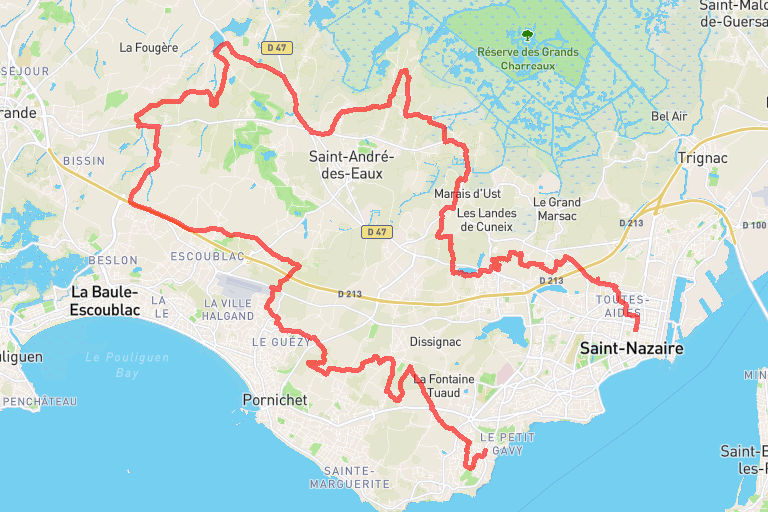 17f00976-ef3c-451f-8565-bf50ce2b9961 image