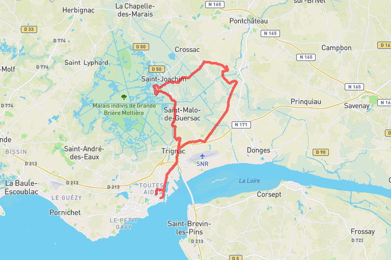 2ad0361d-0ff2-44cb-91bb-92bf2198bbe6 image