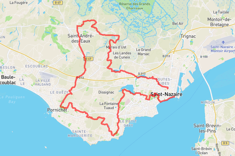 4990d9d0-a0e3-41ab-b747-c737b223e45a image