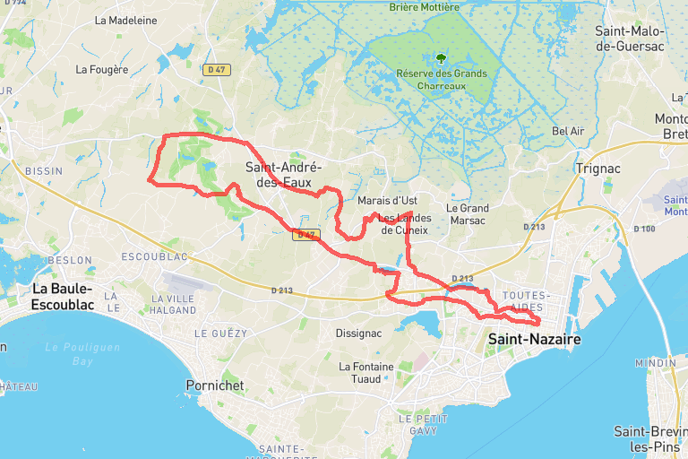 4fcc566d-850e-4bb1-bfba-1f01a687479c image