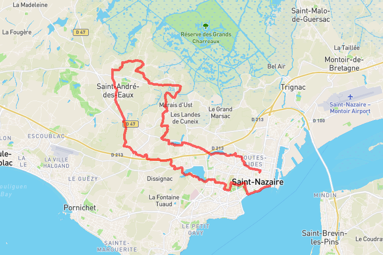 6b309563-a9e4-410e-967b-e13d42ca6d2e image