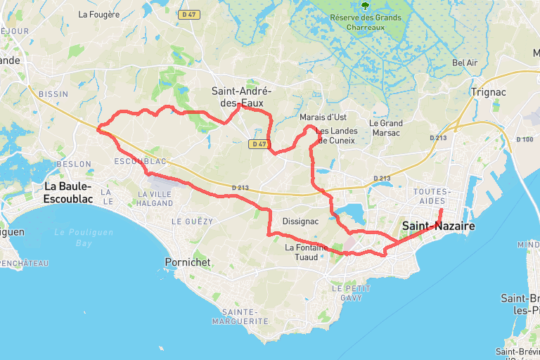 78a1dc28-8c12-42a9-b8d4-762efba1505e image