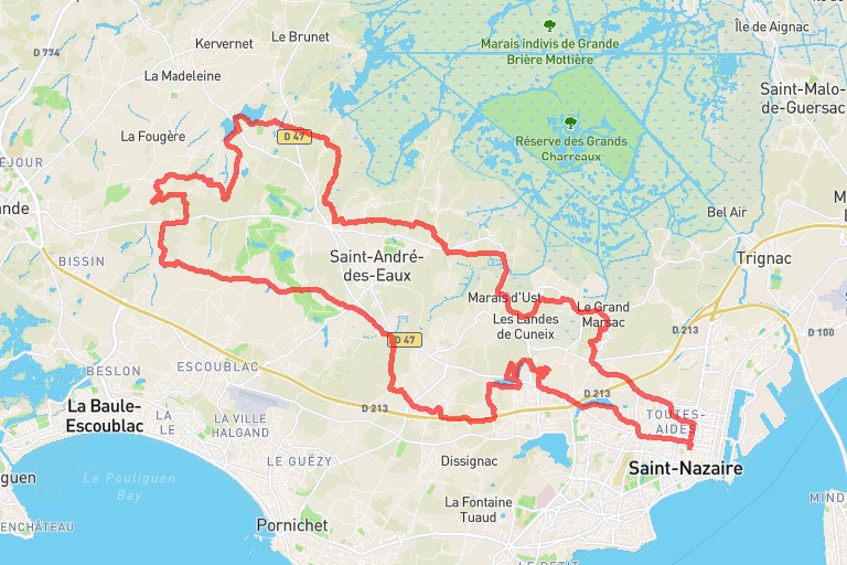 ae164452-be6c-46d5-b634-80602d817b7d image