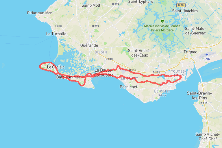 ca10aae3-6122-4836-885d-119fccf39827 image