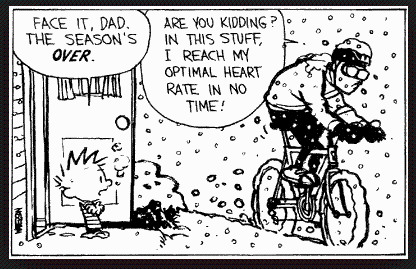 27ca3acd-0e52-440e-bb35-4f59b1946325 image